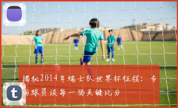 揭秘2014年瑞士队世界杯征程：专访球员谈每一场关键比分