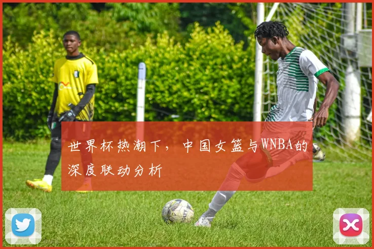 世界杯热潮下,中国女篮与WNBA的深度联动分析