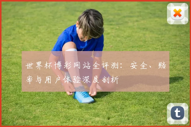 世界杯博彩网站全评测:安全、赔率与用户体验深度剖析