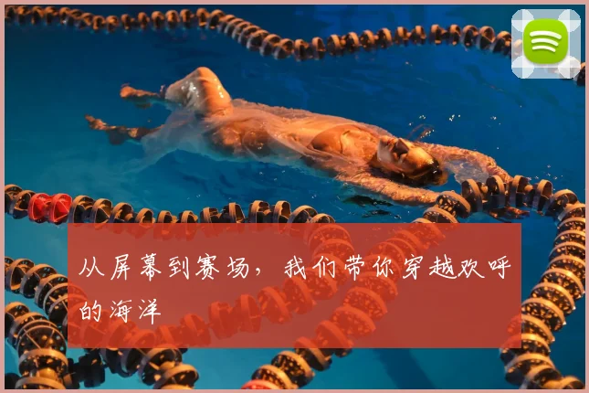 从屏幕到赛场,我们带你穿越欢呼的海洋