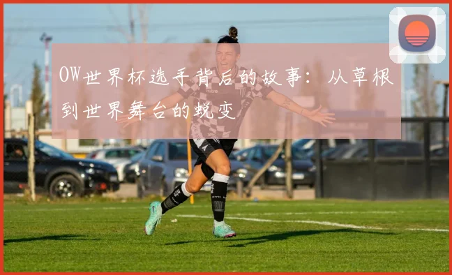 OW世界杯选手背后的故事:从草根到世界舞台的蜕变
