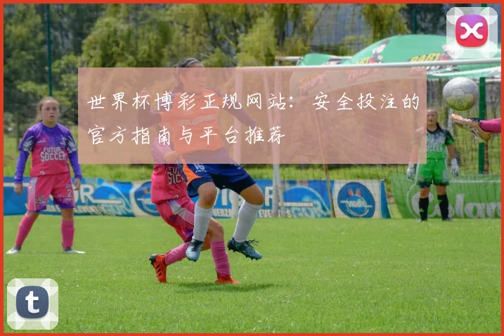 世界杯博彩正规网站:安全投注的官方指南与平台推荐