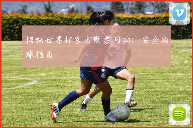 揭秘世界杯官方购票网站：安全购球指南