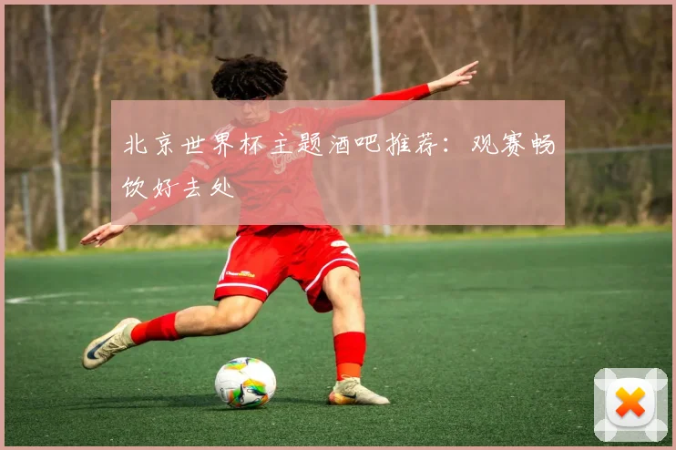 北京世界杯主题酒吧推荐：观赛畅饮好去处
