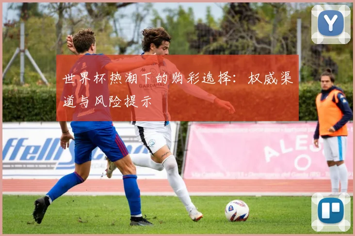 世界杯热潮下的购彩选择:权威渠道与风险提示