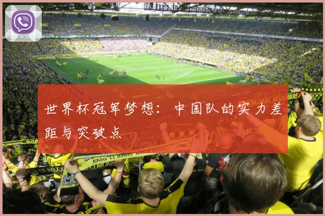 世界杯冠军梦想:中国队的实力差距与突破点